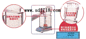 �������M����ƽ,2100g,0.01g